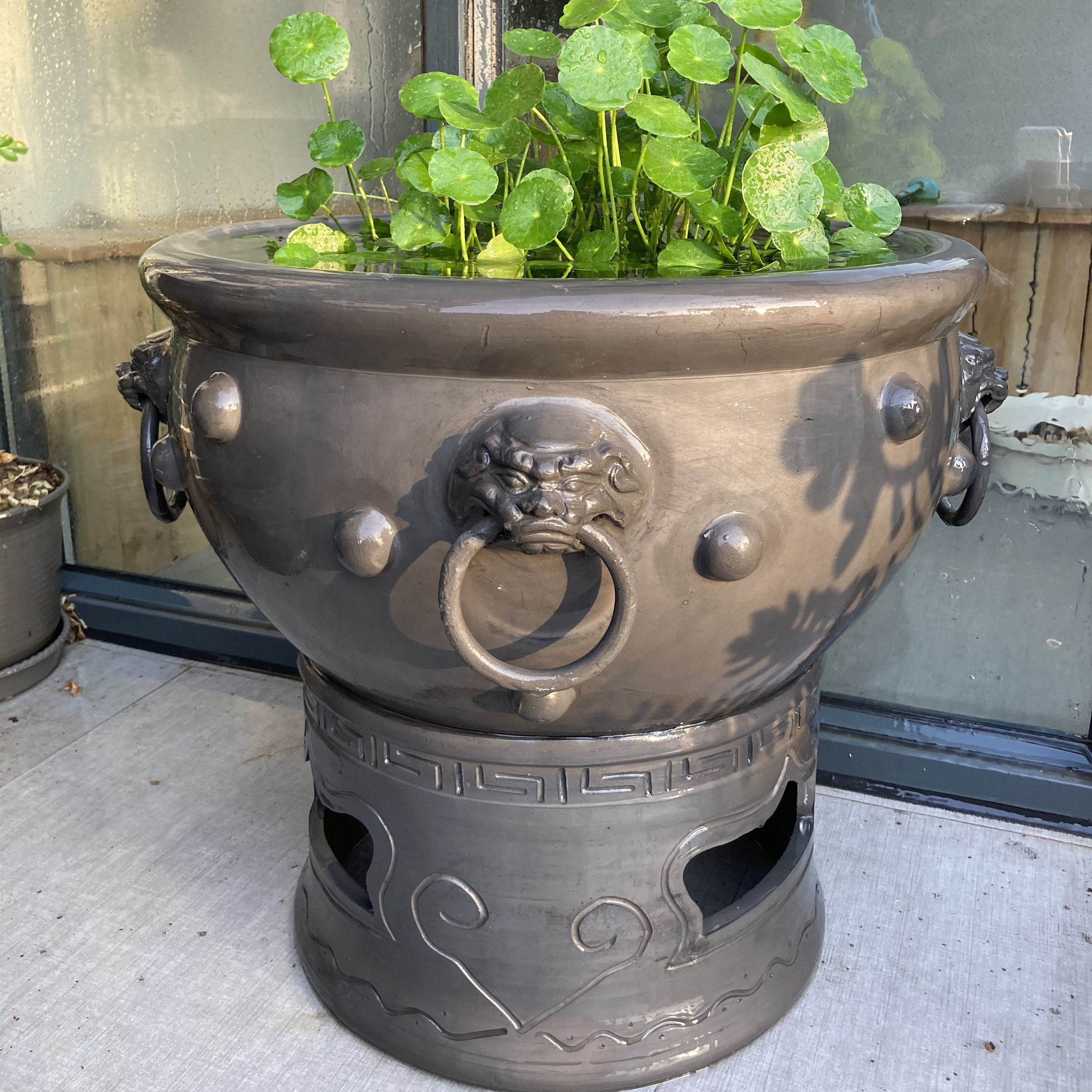 虎头老北京鱼盆活环高端荷花睡莲乌龟缸泥盆鱼缸鱼缸