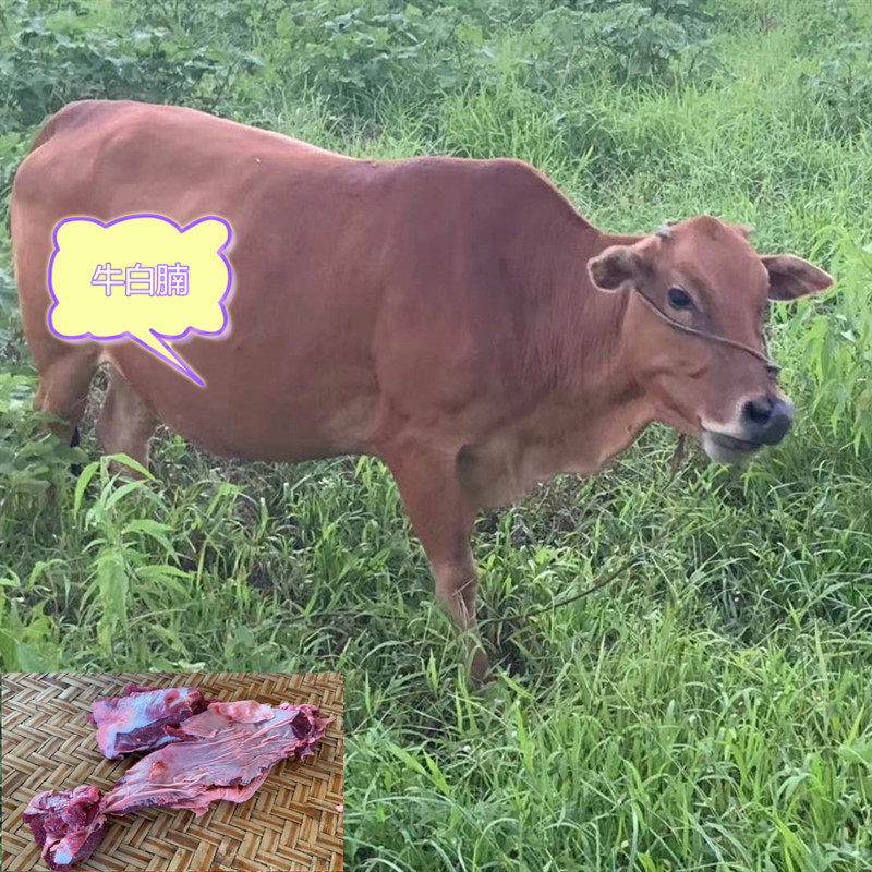 新鲜牛沙青草黄牛肚腩牛白牛腩舌尖上的农家牛腩