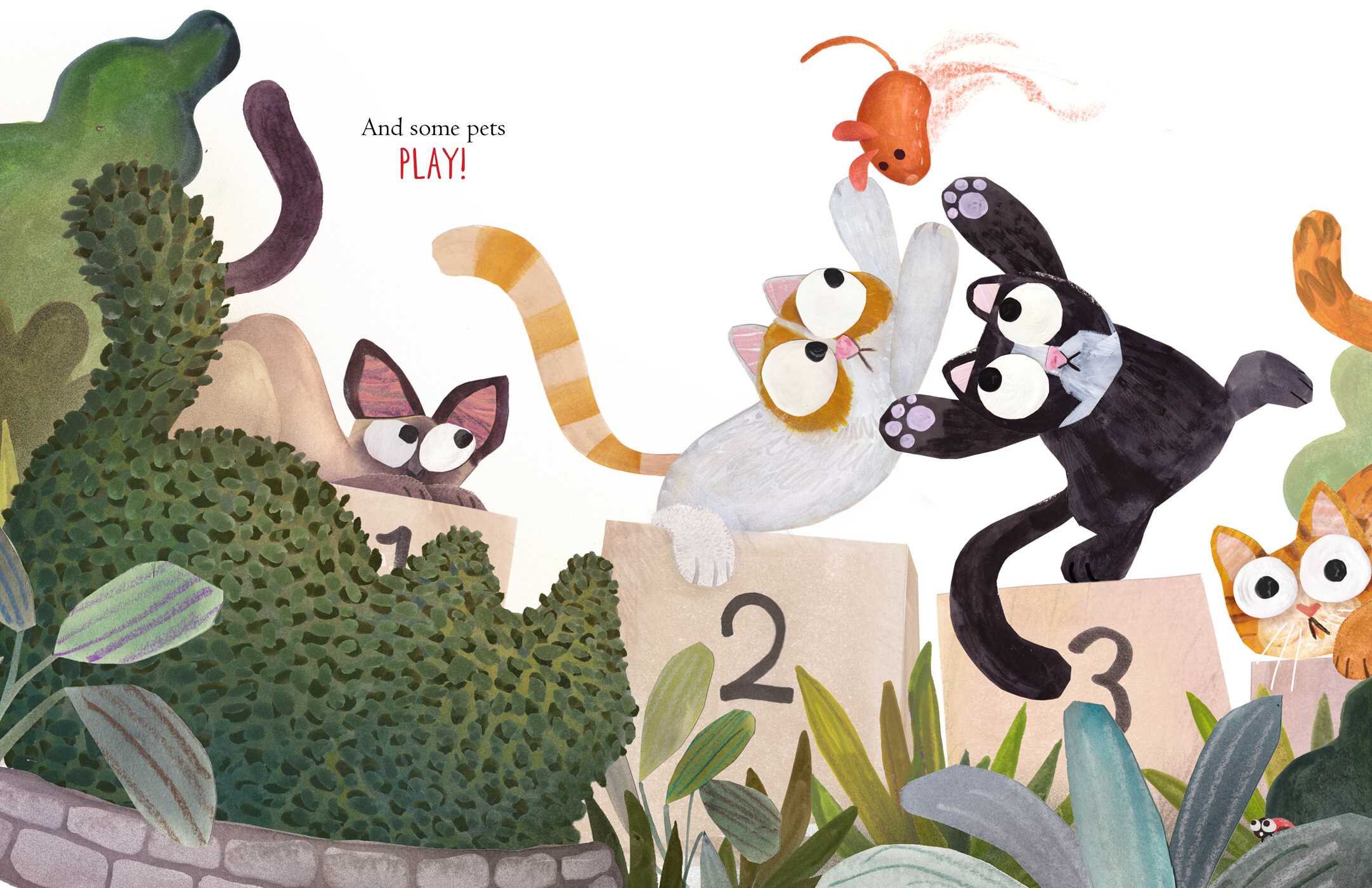 现货 英文原版 有些宠物 凯迪克奖得主brendan wenzel插画绘本 精装