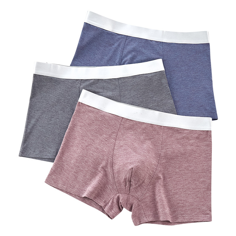 3条装男士纯棉内裤平角彩棉
