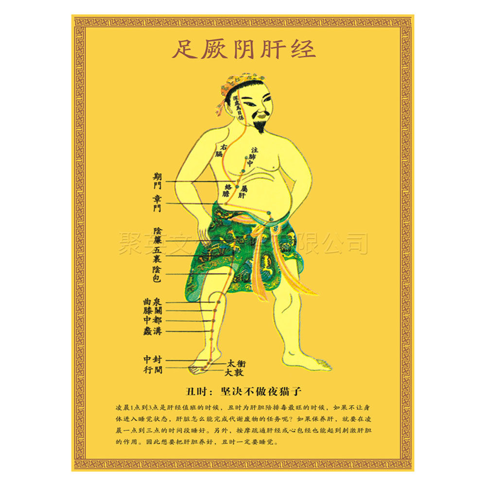足厥阴肝经穴位图解丑时养生挂图中医药保健理疗海报广告展板相纸