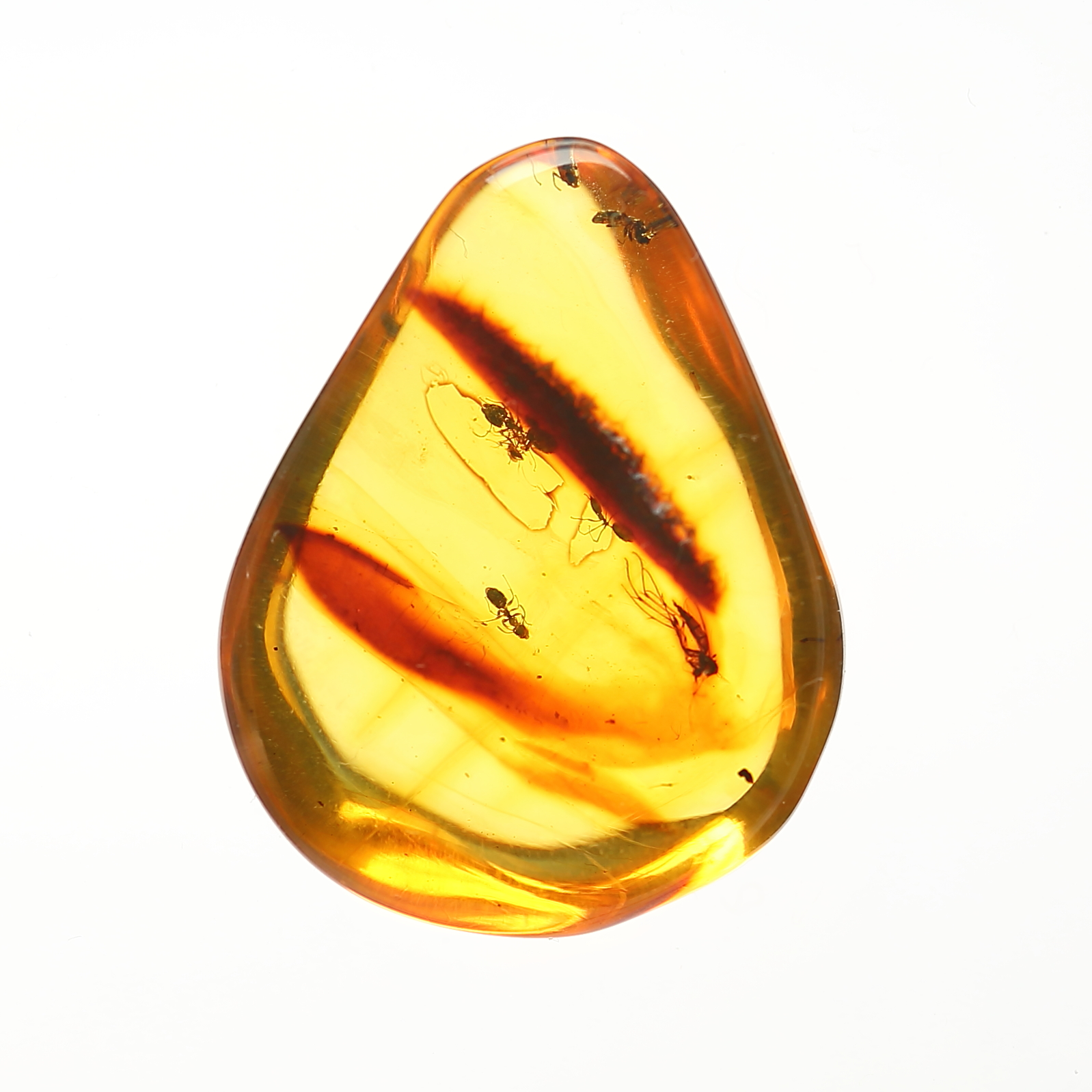 天然琥珀虫珀吊坠项链昆虫标本蜘蛛蚂蚁原石颈饰