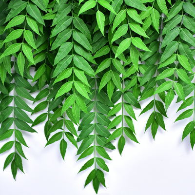 仿真发财树叶子壁挂假花藤条装饰塑料藤蔓植物绿植吊篮垂吊兰垂吊