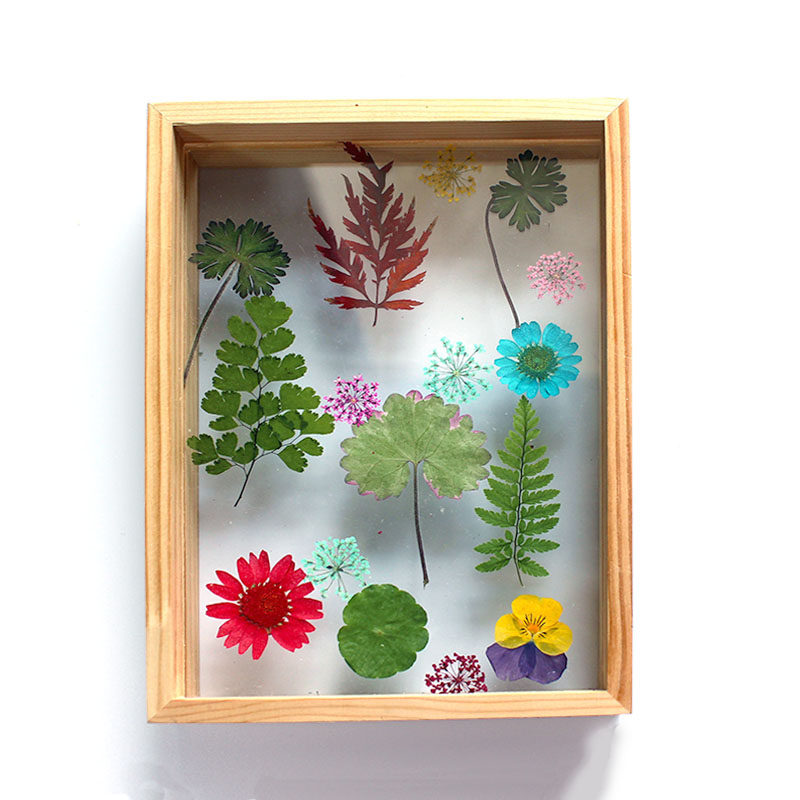 创意双层玻璃相框树叶干花植物标本相框摆台相框diy相框画框