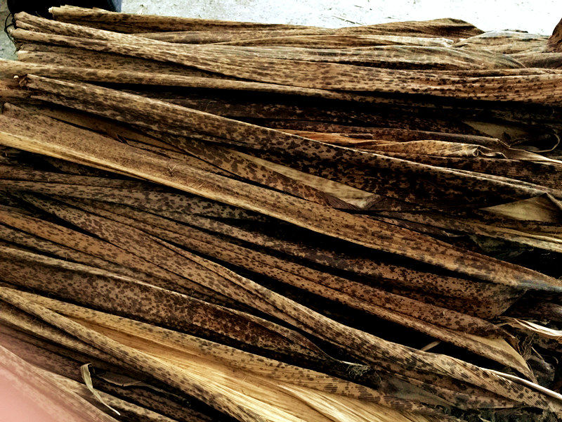 笋壳四川宜宾黄粑叶楠竹10张毛竹端午包粽子叶其它干货