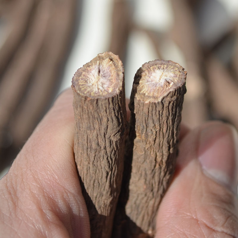 内蒙古正宗野生芍药根无硫赤芍根非白芍芍药根精选大条原生根500g
