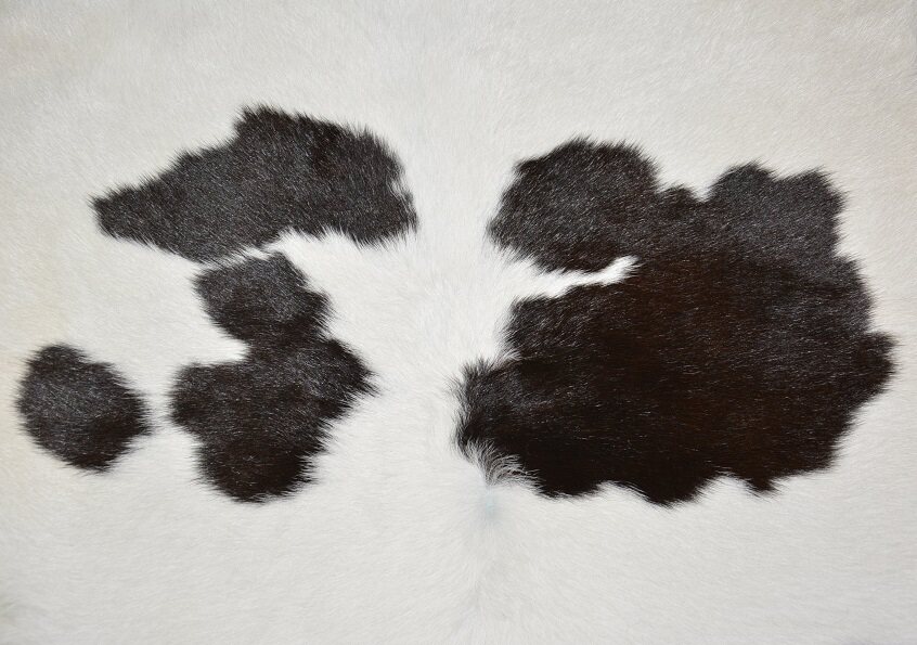 牛皮整张奶牛地毯小牛皮料l92胎牛真皮皮毛背景墙软包