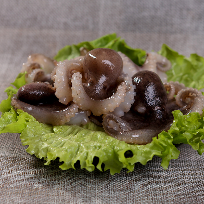 八爪鱼鲜活冷冻短腿小章鱼迷你去内脏处理商用冷冻章鱼