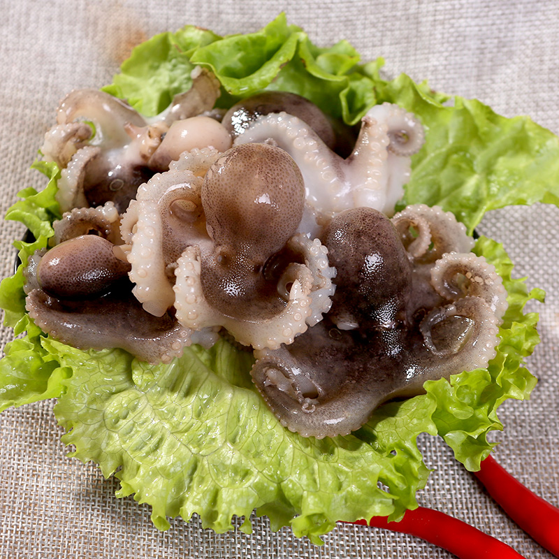 八爪鱼鲜活冷冻短腿小章鱼迷你去内脏处理商用冷冻章鱼