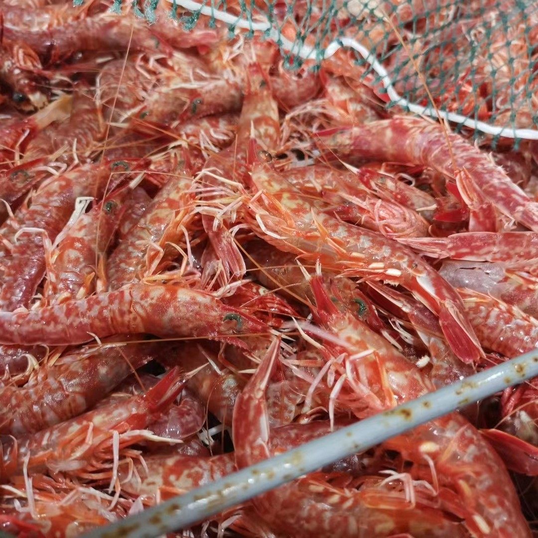 海鲜东山岛樱花花虾须赤虾赤米海虾活冻水产宝宝冻虾