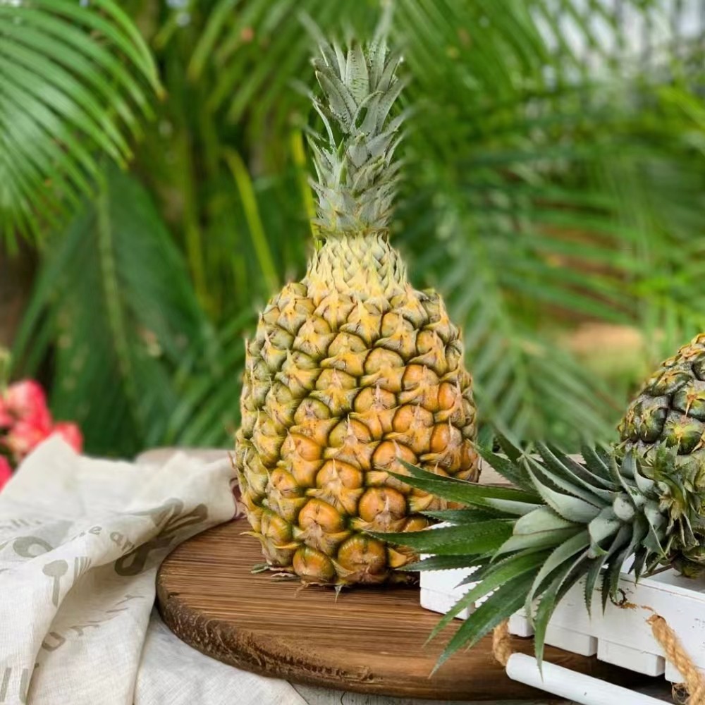 凤梨爆甜现摘云南超甜多汁新鲜菲律宾非手进口凤梨