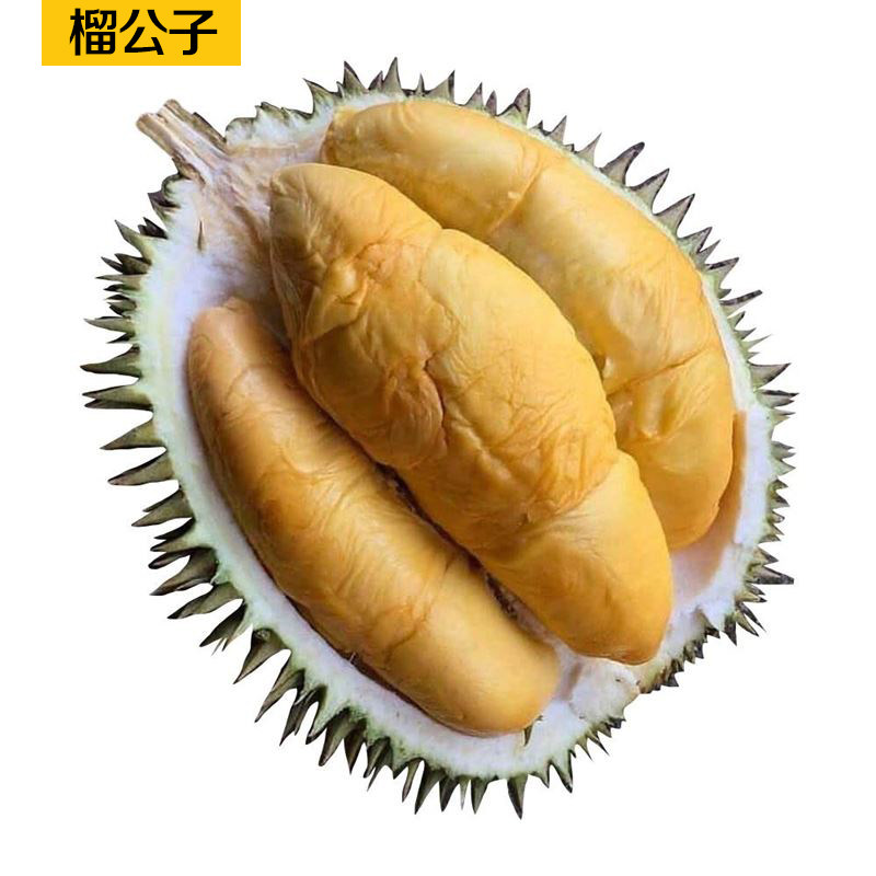 d101红肉榴莲马来西亚树上液氮冰鲜冷冻整果带壳榴莲