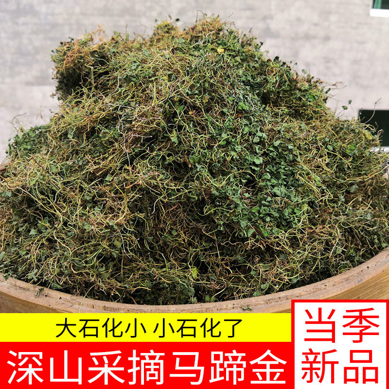 金钱四川野生小叶草干草茶溶石马蹄500g广金钱草
