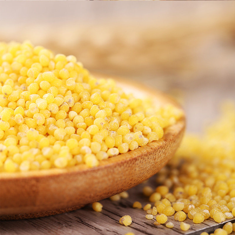 糜子硬黄米新糜米稷米农家自产羊粪施肥河曲酸粥米其他食品