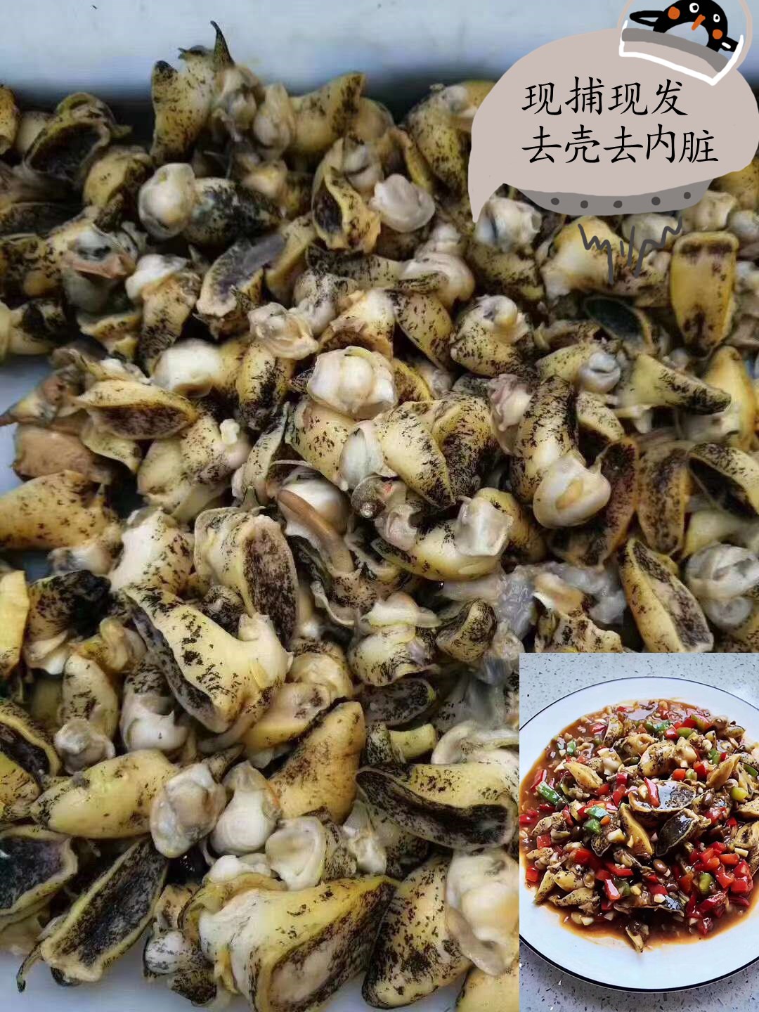 野生珍珠鲍假鲍鱼老婆脚海牛牛肉鲍螺肉