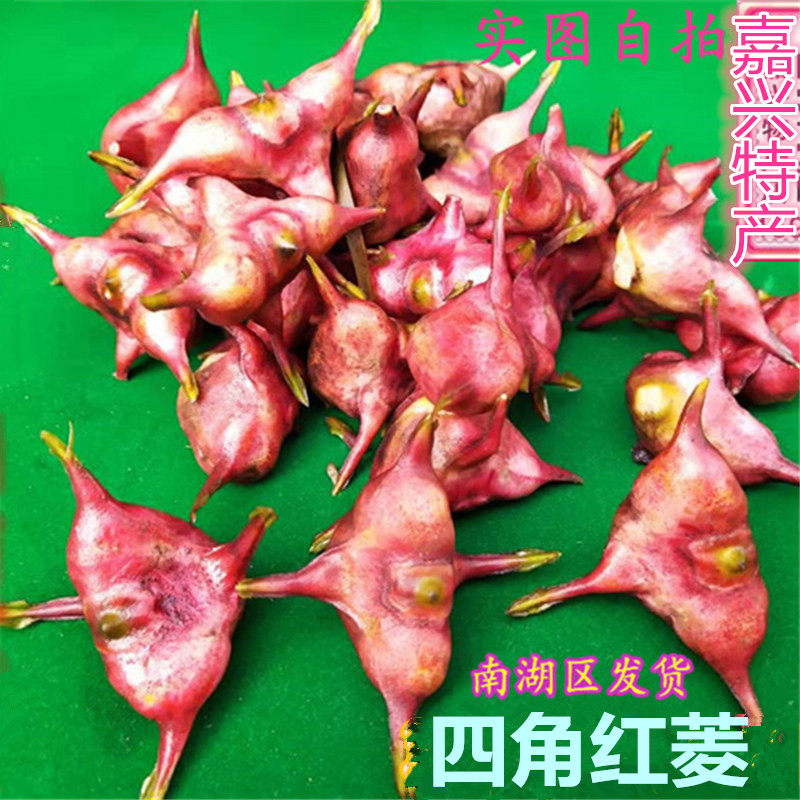 南湖红菱四角没货嘉兴菱角新鲜3斤包邮价菱角