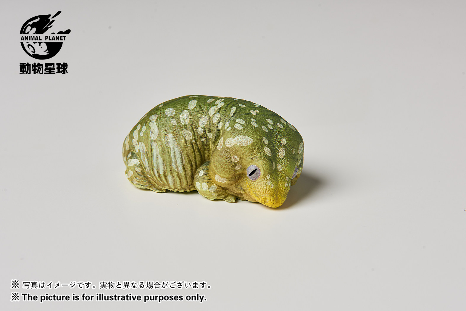 动物星球爆款心宽体胖系列守宫爬宠手办模型潮玩手办