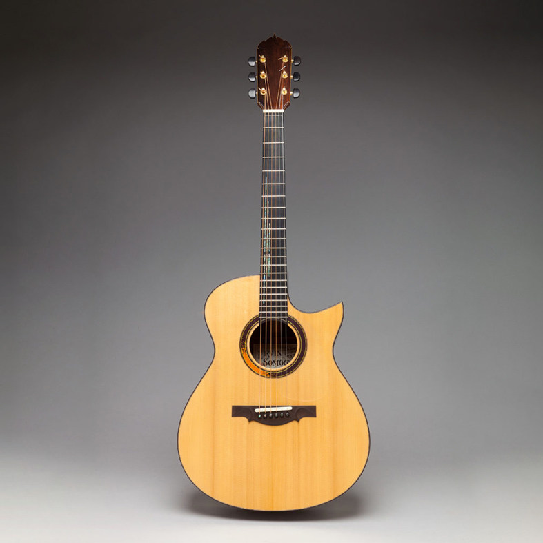 美国ervinsomogyi欧洲云杉巴西玫瑰大师手工民谣吉他民谣吉他