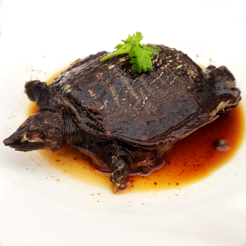 卤甲鱼团鱼憋肉麻辣小甲鱼水鱼王八卤味香辣熟食即食新鲜鲜活现做