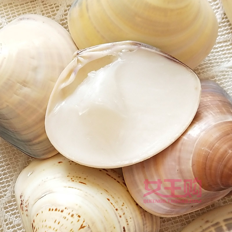 老式蛤蜊油歪贝壳哈利油瓦壳油上海手油护手护手霜