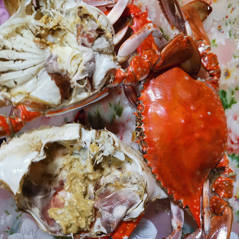 丹东现捕发黄海黄黄海满膏满当天梭子海鲜梭子蟹