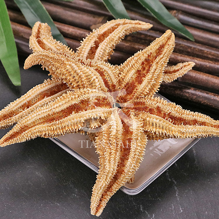 中药材海星干货特产深海五星海盘食用大小煲汤其他药食同源食品