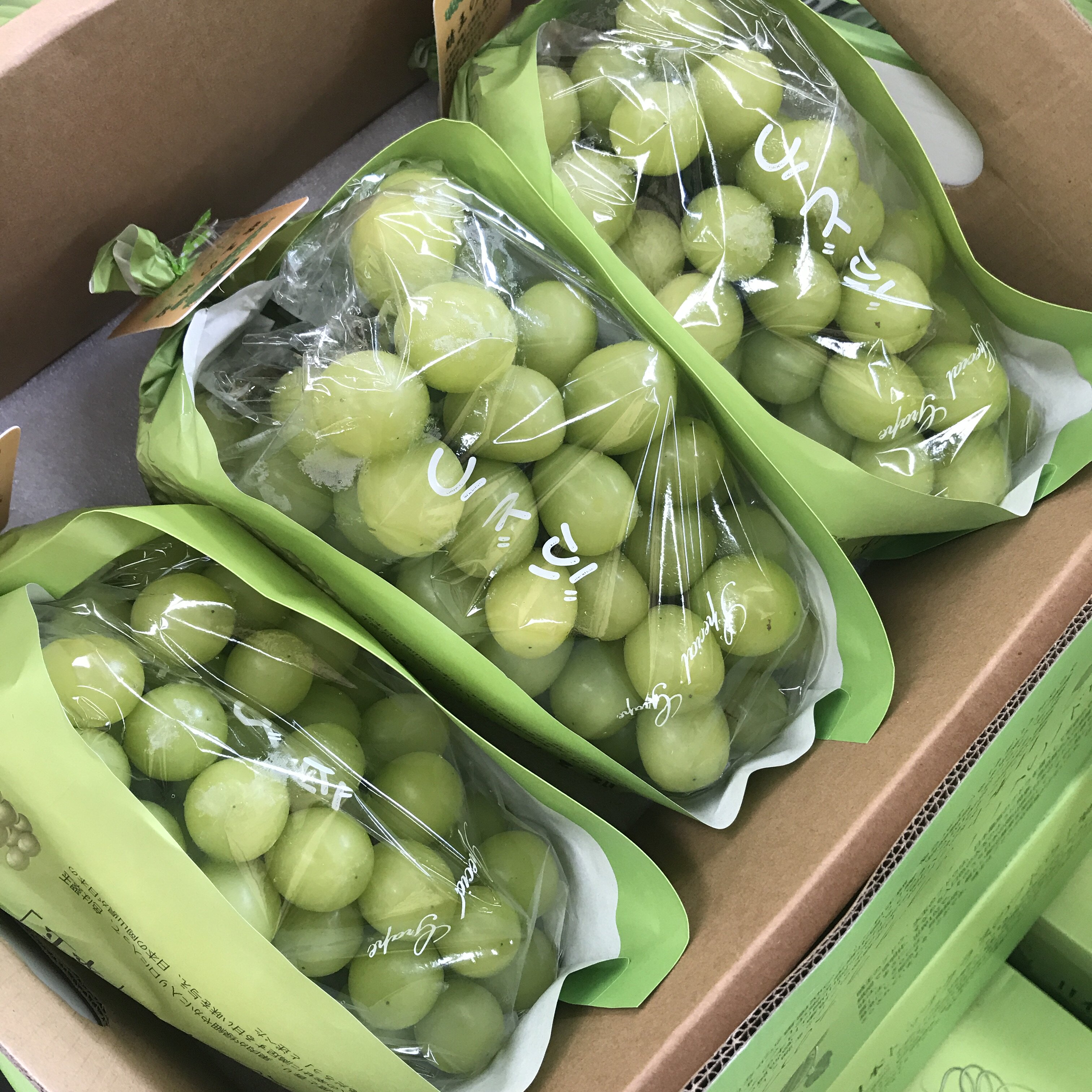 新鲜晴王阳光青提750g一包超甜提子无籽葡萄云南青葡萄水果发顺丰