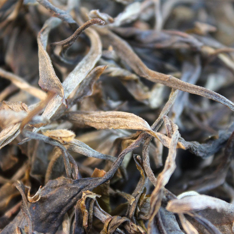 乡里2020年易武普洱茶生态乔木春茶无农残荒山茶普洱