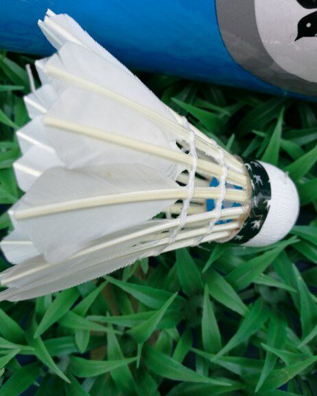 燕子羽毛球正品适合学校家庭训练12只装羽毛球