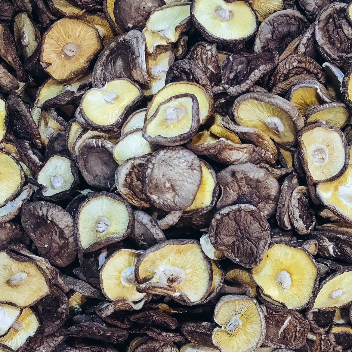 新款中国大陆浙江省丽水香信菌味鲜甜香气染指香菇类