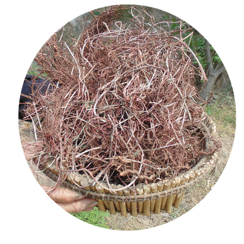 沂蒙山天然草根正宗中药材血见红根娃娃拉拉秧根其他药食同源食品