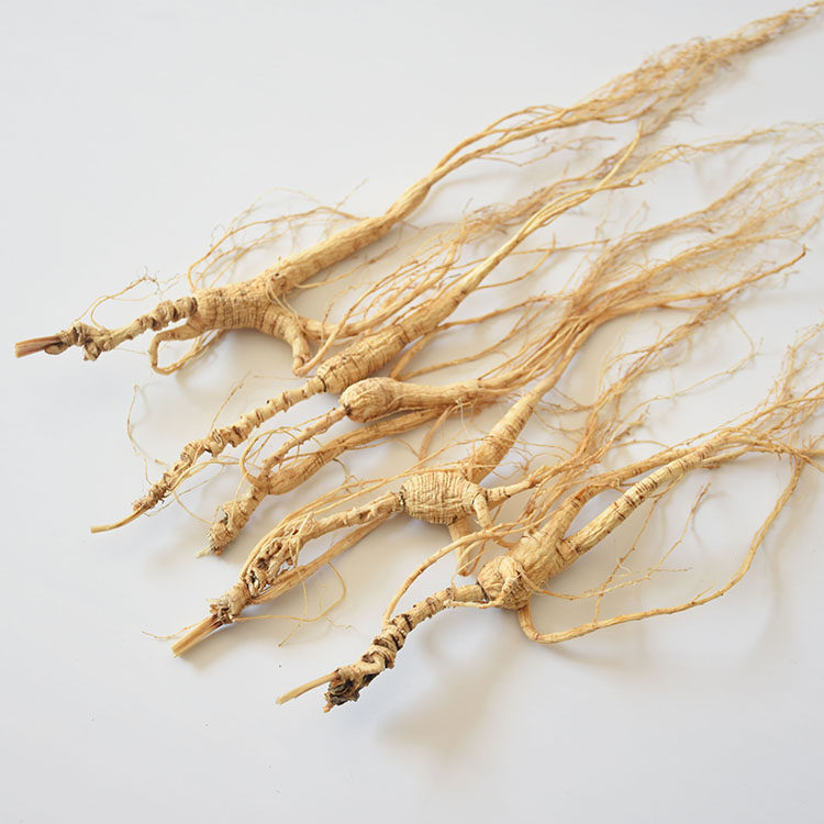 长白山野生鲜活人参林下籽老山参高龄残参视频选参足干礼盒装包邮