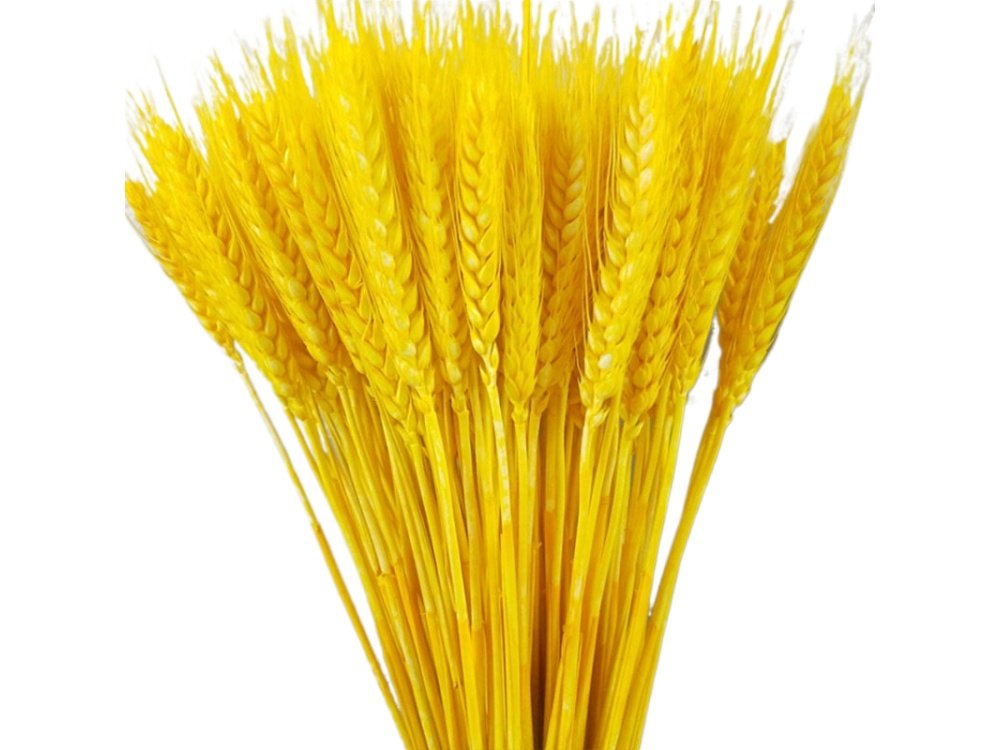 金色麦穗干花天然小麦客厅田园装饰展会摆件仿真花