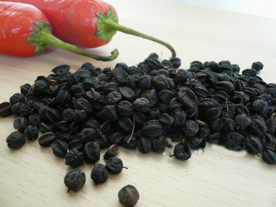 五加野生黑龙江东北皮籽100克五加皮