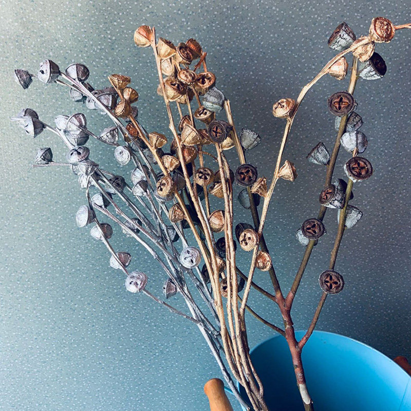 包邮尤加利果干树枝干花花束天然风干真花ins北欧家居装饰diy材料