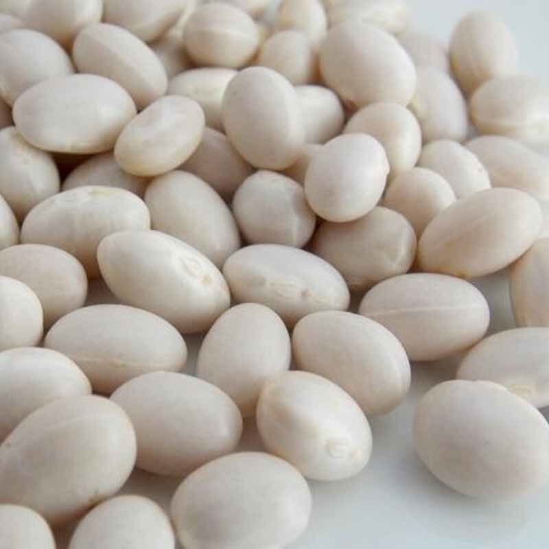 四斤包邮正宗四川农家自产小白芸豆雪豆杂粮粥五谷豆浆配方500g