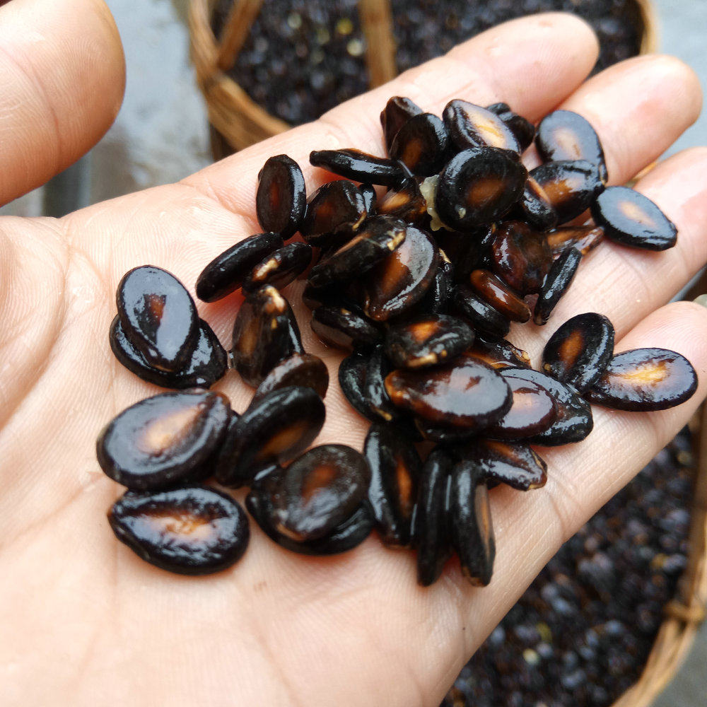 江西特产新货安福柴火水煮五香西瓜子小片盐味瓜子