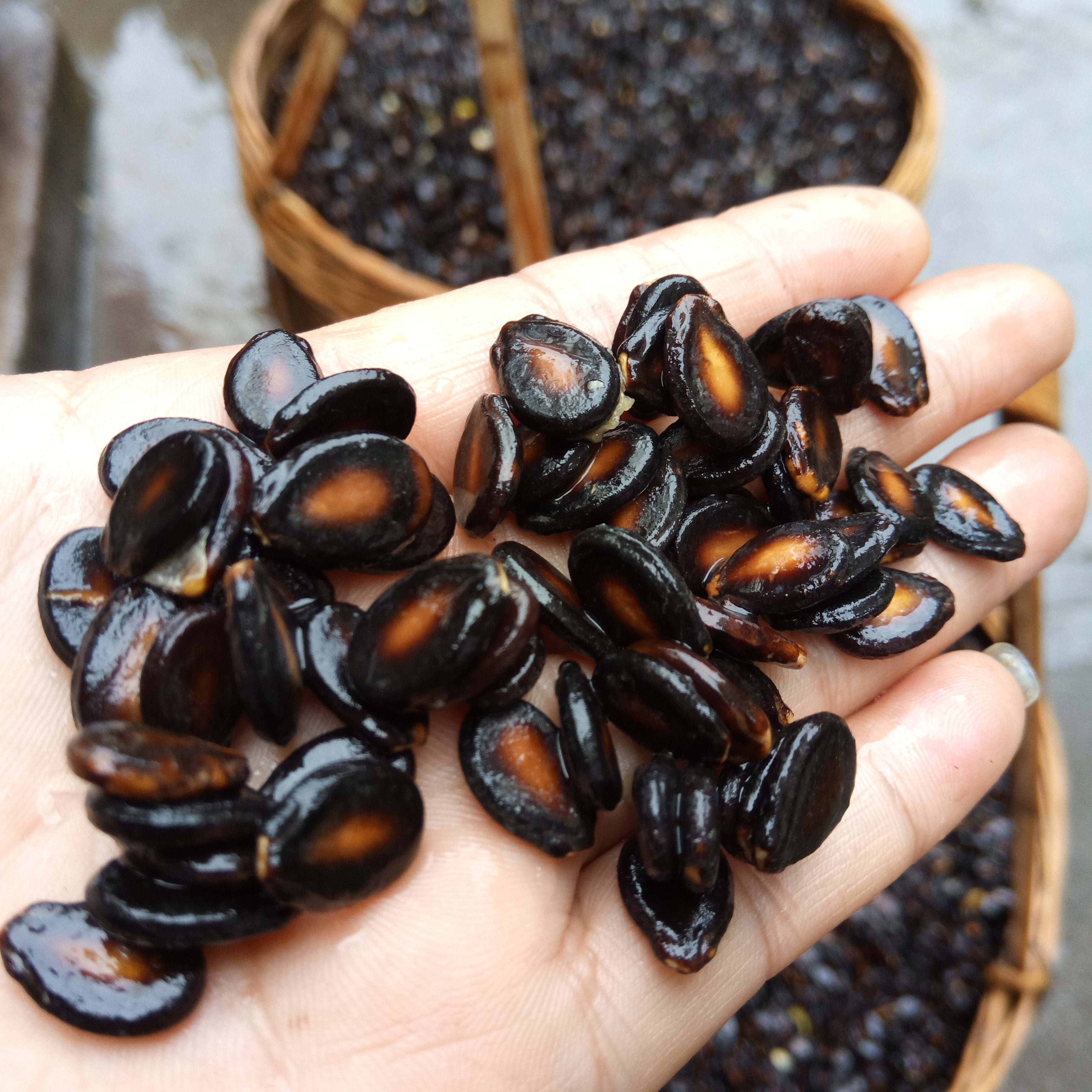 新货西瓜子生西瓜籽大板瓜子5斤装送生石灰瓜子