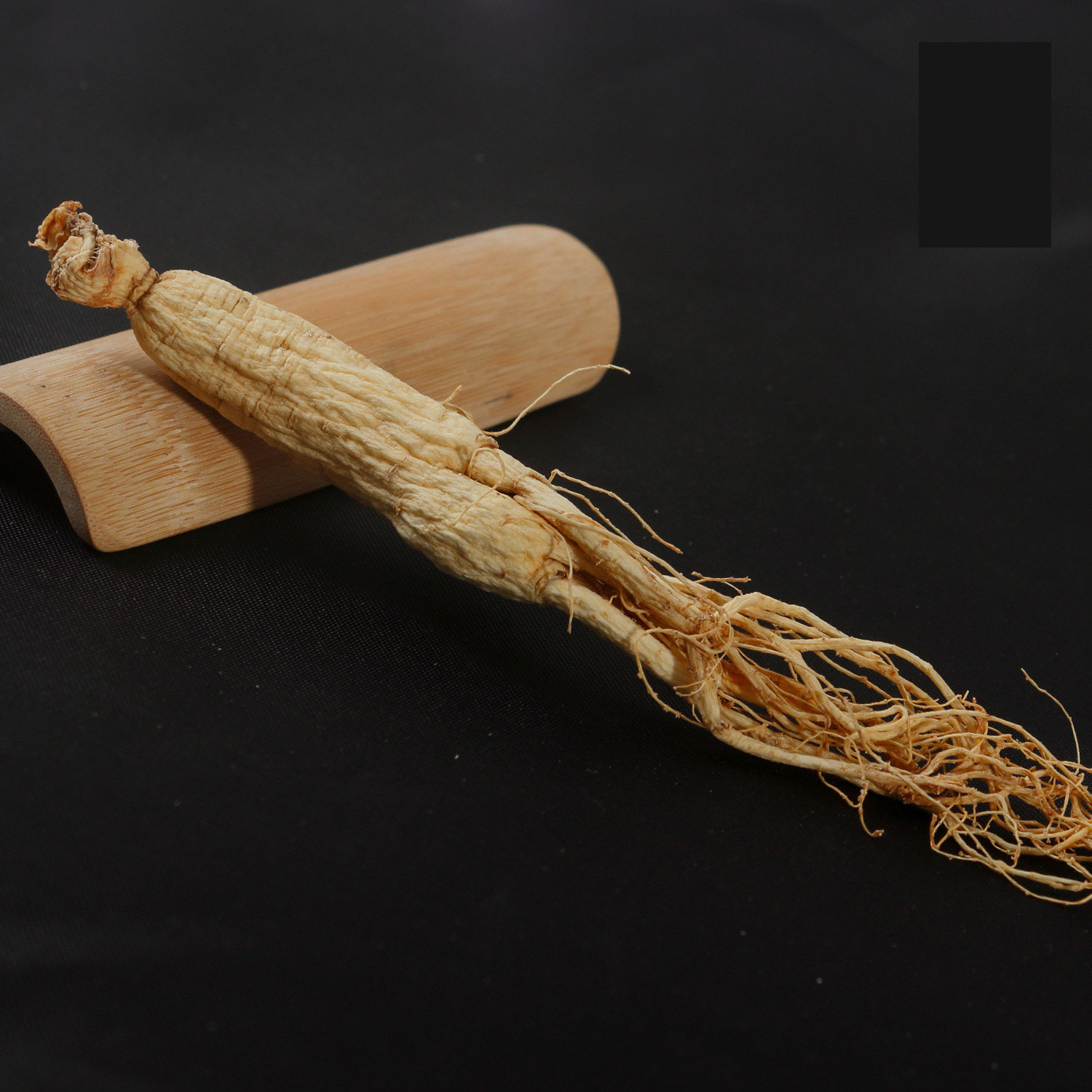 东北长白山人参