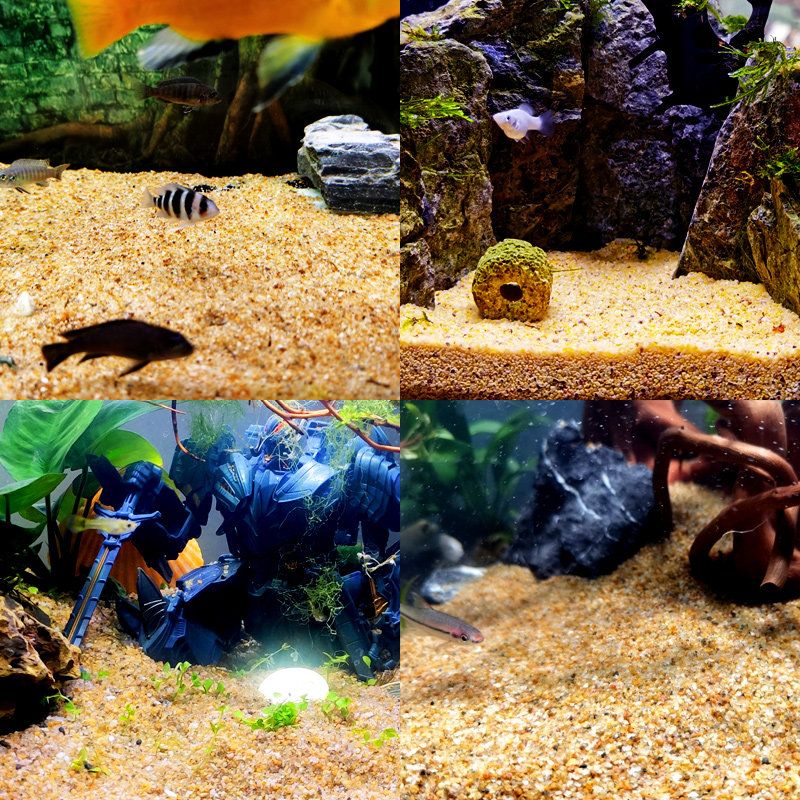 黄金沙水陆水草河沙天然化妆造景草缸鱼缸底沙肥料