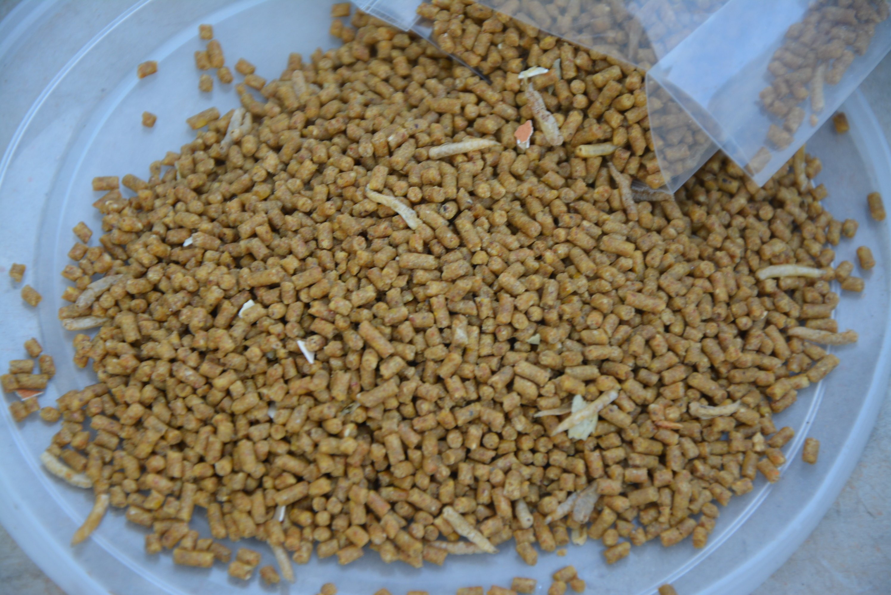 鸟食雷公山提性壮膘斗鸟唱鸟画眉画眉鸟饲料鸟粮鸟食