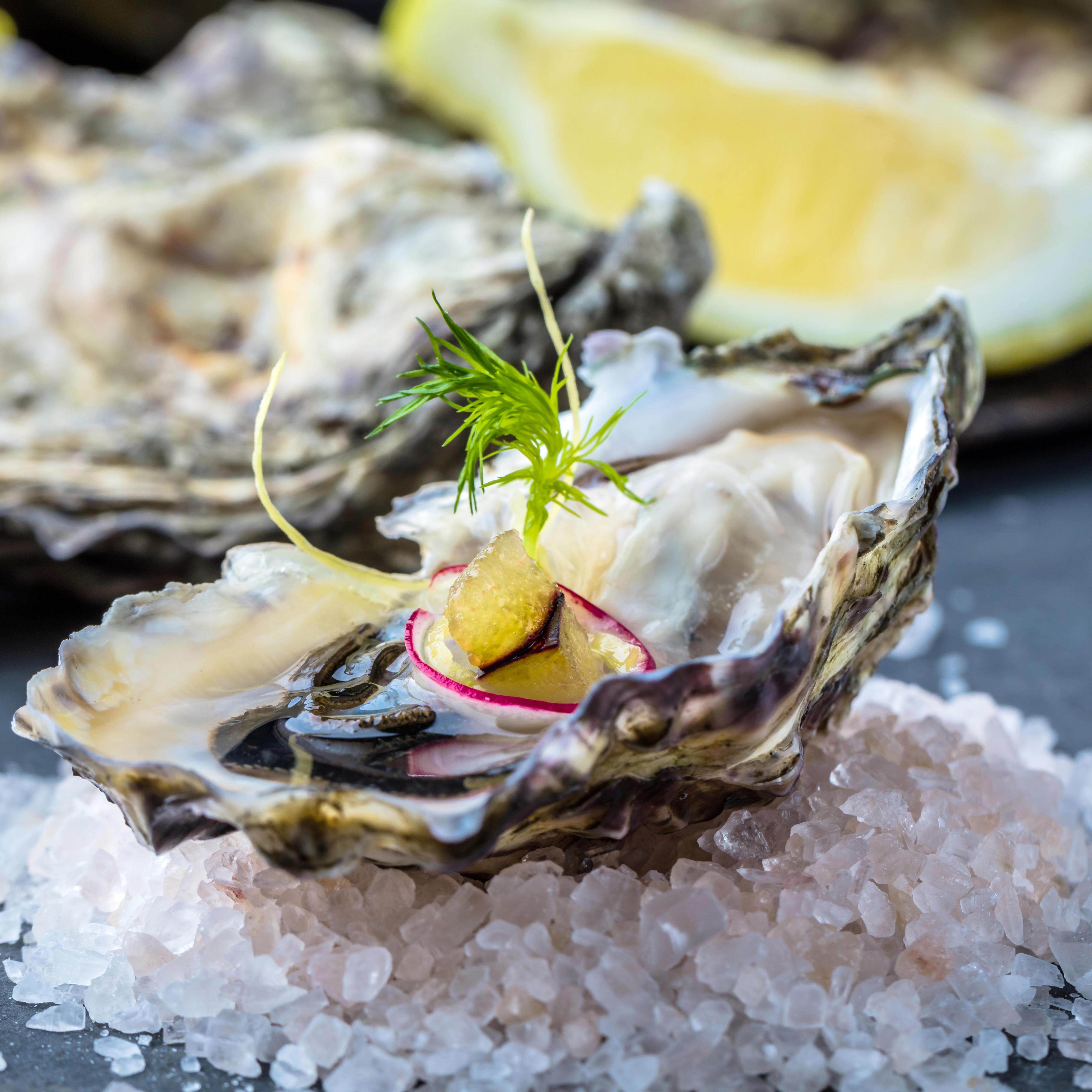 爱尔兰原箱拉多吉拉法国非法旗舰进口12只特级生蚝