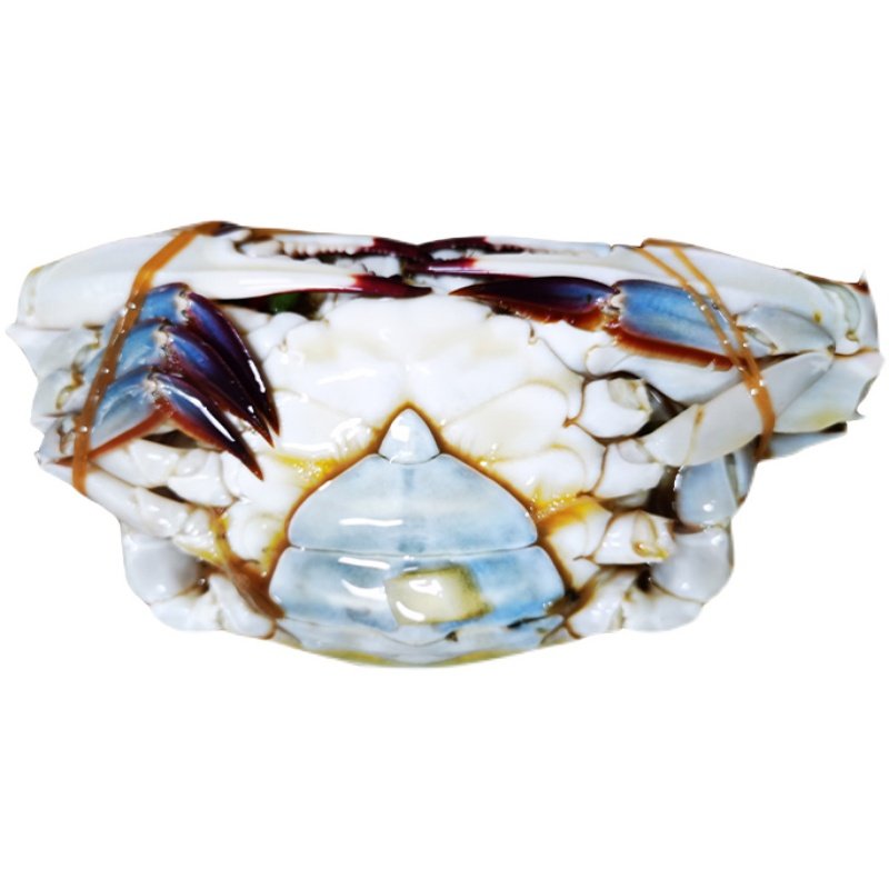 东港特产盛食韩式酱母蟹生三点红螃蟹1只装625g其它