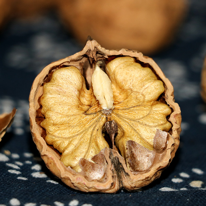 2019新货云南大理漾濞薄壳纸皮大泡丑山干核桃孕妇原味坚黑果散装