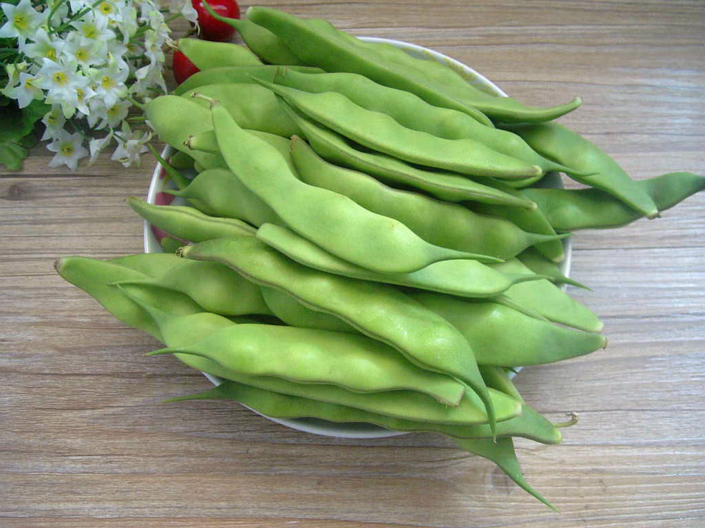 豆角速冻东北英俊九月小油油豆10袋包邮其它