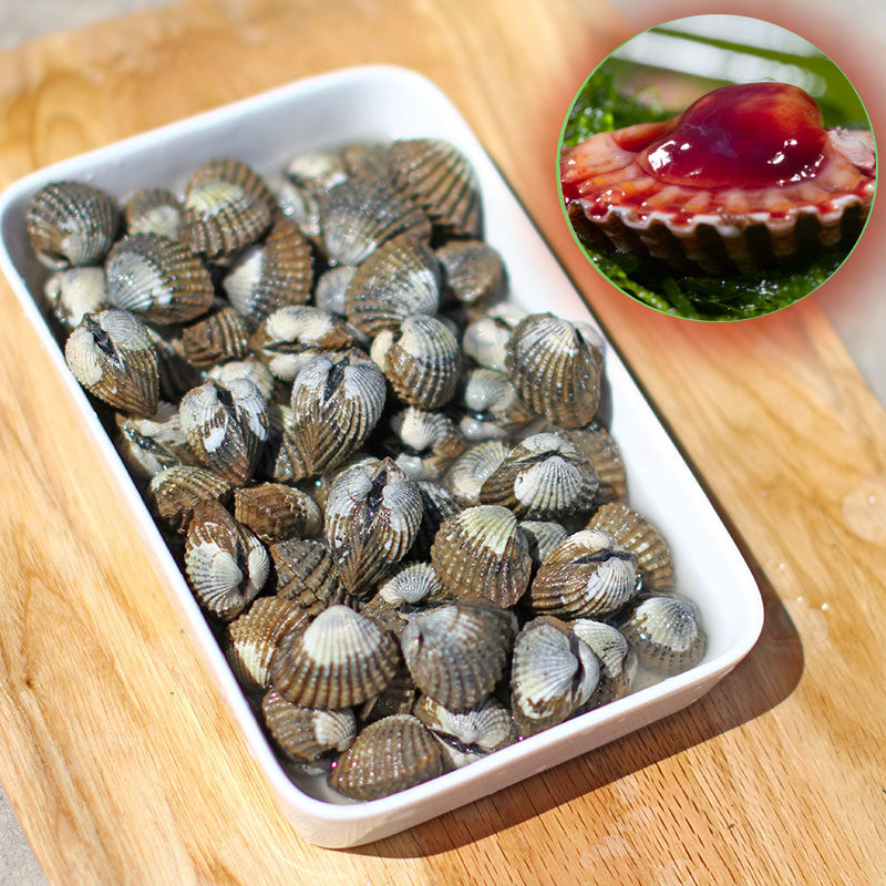 贝类花鼓漫小海鲜血蛤泥蚶花甲花蚶银蚶蛤蜊新鲜活水产3斤装1500g