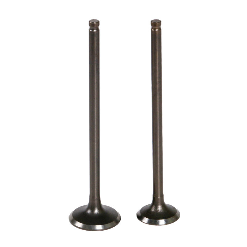 气门适用雅马哈fz400摩托跑车配件1wg氮化油封气门