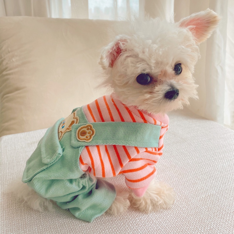 小熊新泰迪小型熊小型犬比泰迪秋冬背带四脚条纹宠物服装
