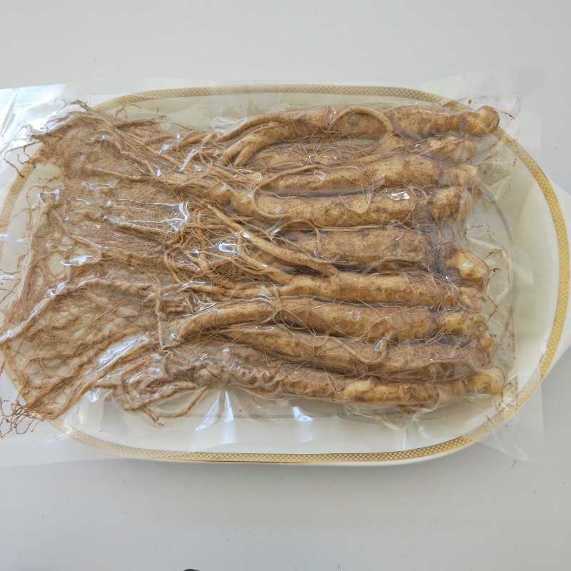 人参长白山新鲜新鲜人东北小鲜生人叁泡煲汤小人人参