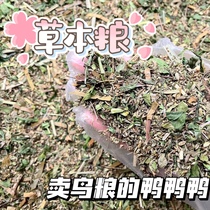 (Spot) Parrot grass This grain enhances physique deworming to improve Mao color anti-cold and germicidal food diversity